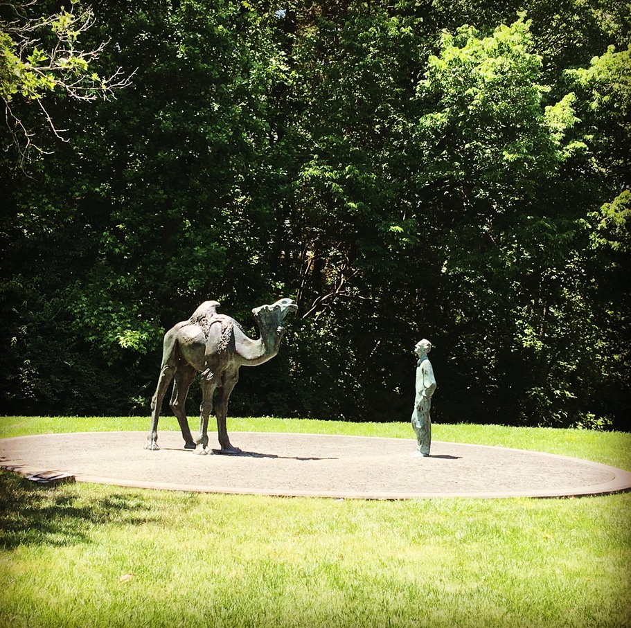 A statue of a Duke biologist Knut Schmidt-Nielsen who studied camels